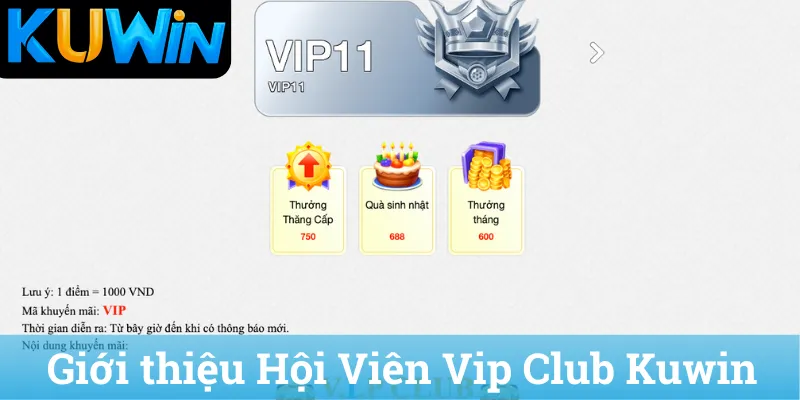 Gioi thieu Hoi Vien Vip Club Kuwin Giới thiệu Hội Viên Vip Club Kuwin